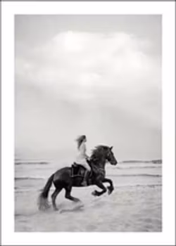 TOVE FRANK || Poster Black