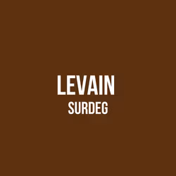 BRÖD || LEVAIN SURDEG
