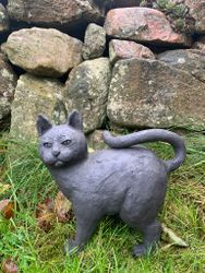 Katten Musse