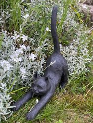Katten Kjelle