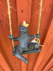 Katten Zorro på gunga