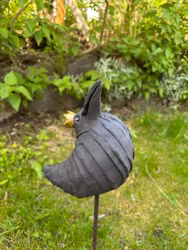 Fågel Kraxen
