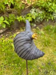 Fågel Kraxen
