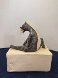 Yogakatten Yin