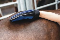 HG Grooming handske