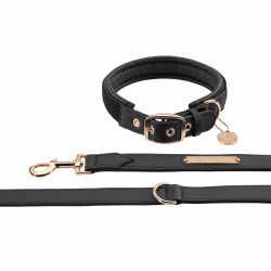 Eskadron Heritage hund halsband+koppel M
