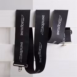 Equiline täckesgjord
