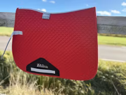 Shires Schabrak 15-16,5"