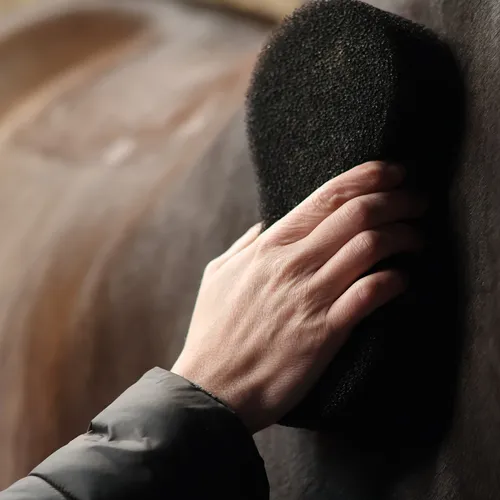 Shine Scrubber Svamp