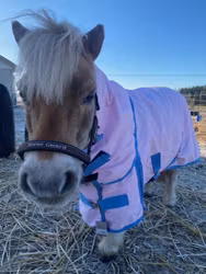 Unique Utegångstäcke 50 gr (Lippo)