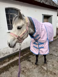 Unique Utegångstäcke 50 gr (Lippo)