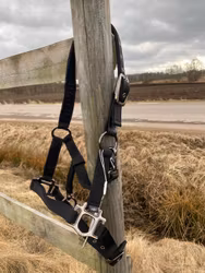 Rider By Horse Grimma Säkerhet P