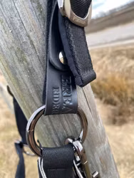 Rider By Horse Grimma Säkerhet P