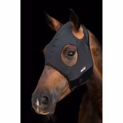 Titanium Mask Utan Öron