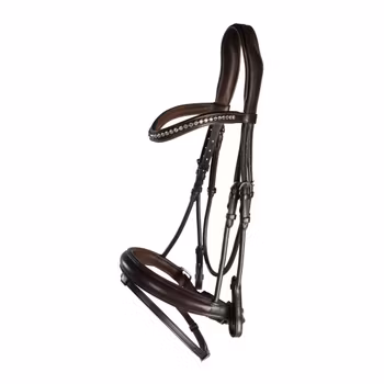 Träns Lippo Supreme Courbette