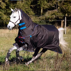 Shires Utegångstäcke 300 GR