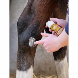Kevin Bacon´s Derma Protek 50 ml