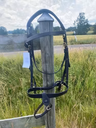 Träns Platt Nosgrimma Mässing