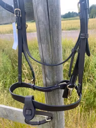 Träns Platt Nosgrimma Mässing