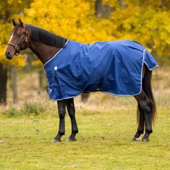 Shires Highlander Original 0 GR