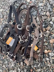 5 ST Grimmor P