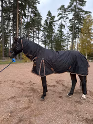 Wahlstén Utetäcke 100 gr Fasthals
