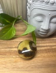 Septarian Draksten B