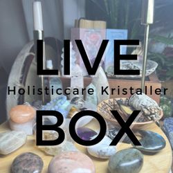 LIVEBOX #30