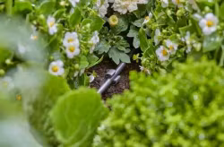 Rörhållare 4,6 mm (3/16″)