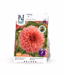 Dahlia Hög dek. Orange Fubuki