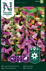 Fingerborgsblomma