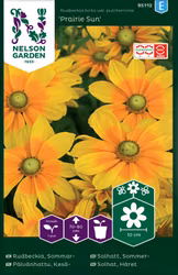 Sommarrudbeckia 'Prairie Sun'