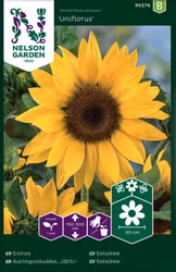 Solros 'Uniflorus'