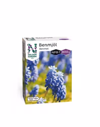 Benmjöl