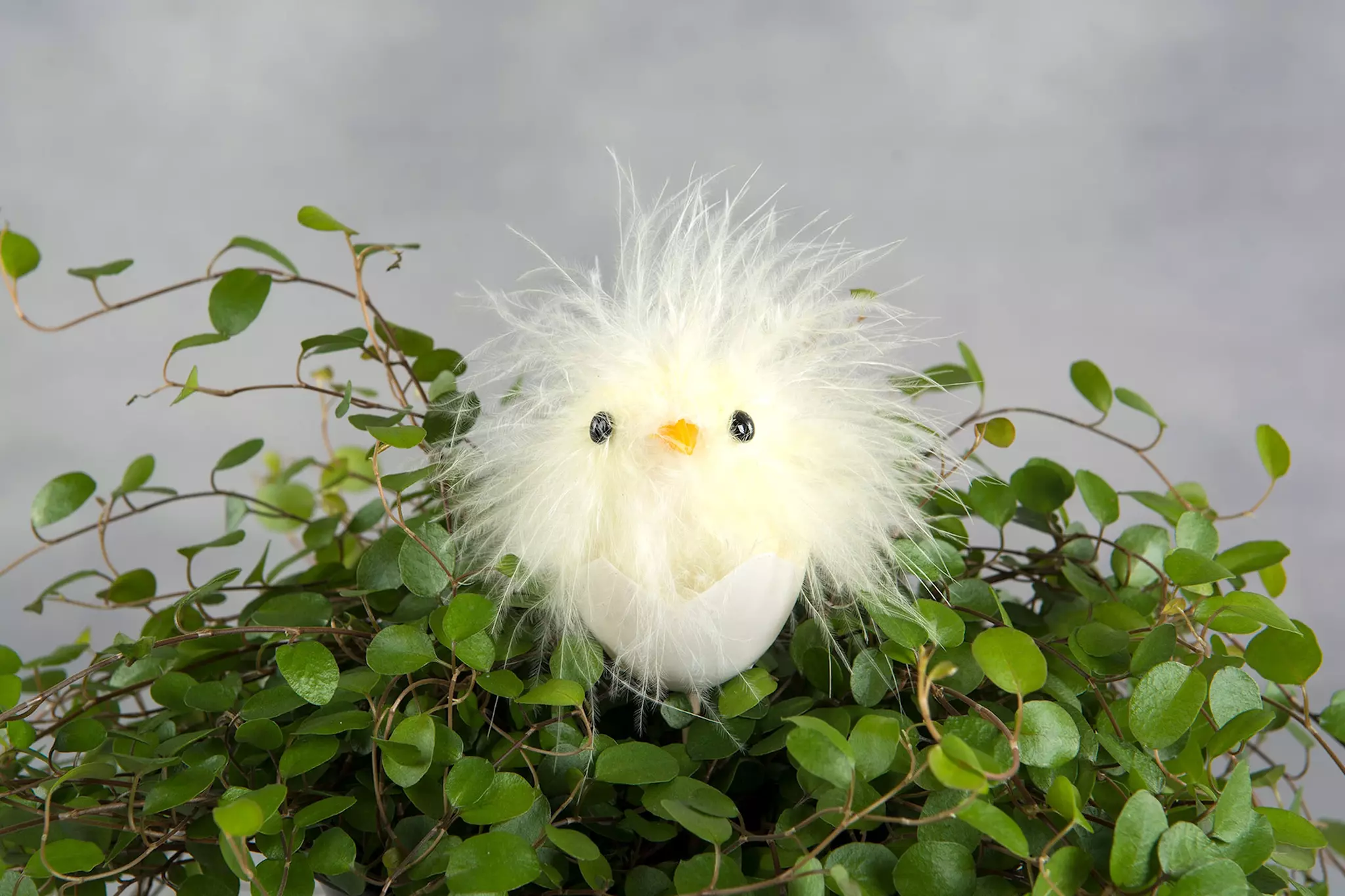 Stick Kyckling Ägg Gul