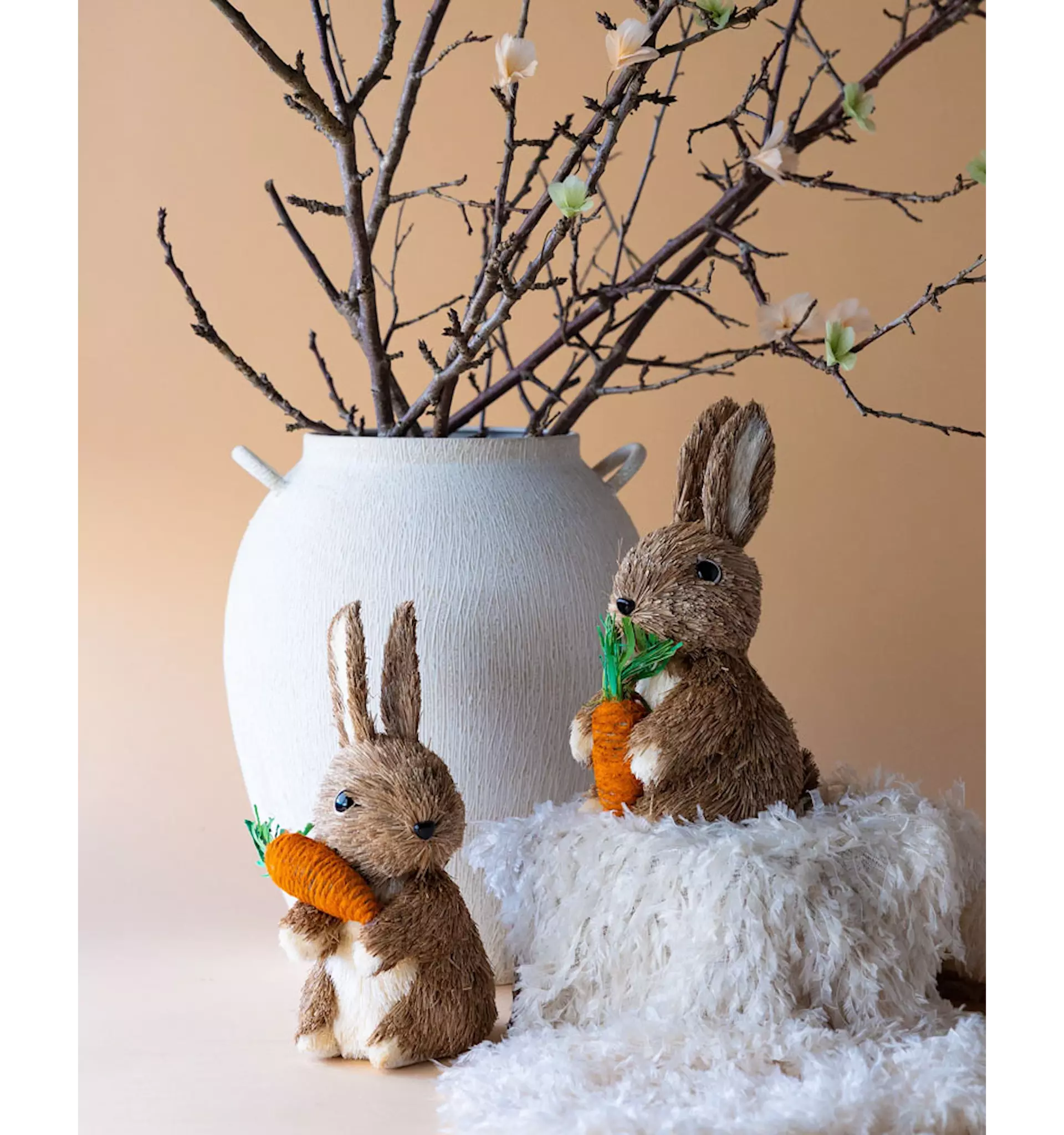 Dekoration Kaniner Morot Mix