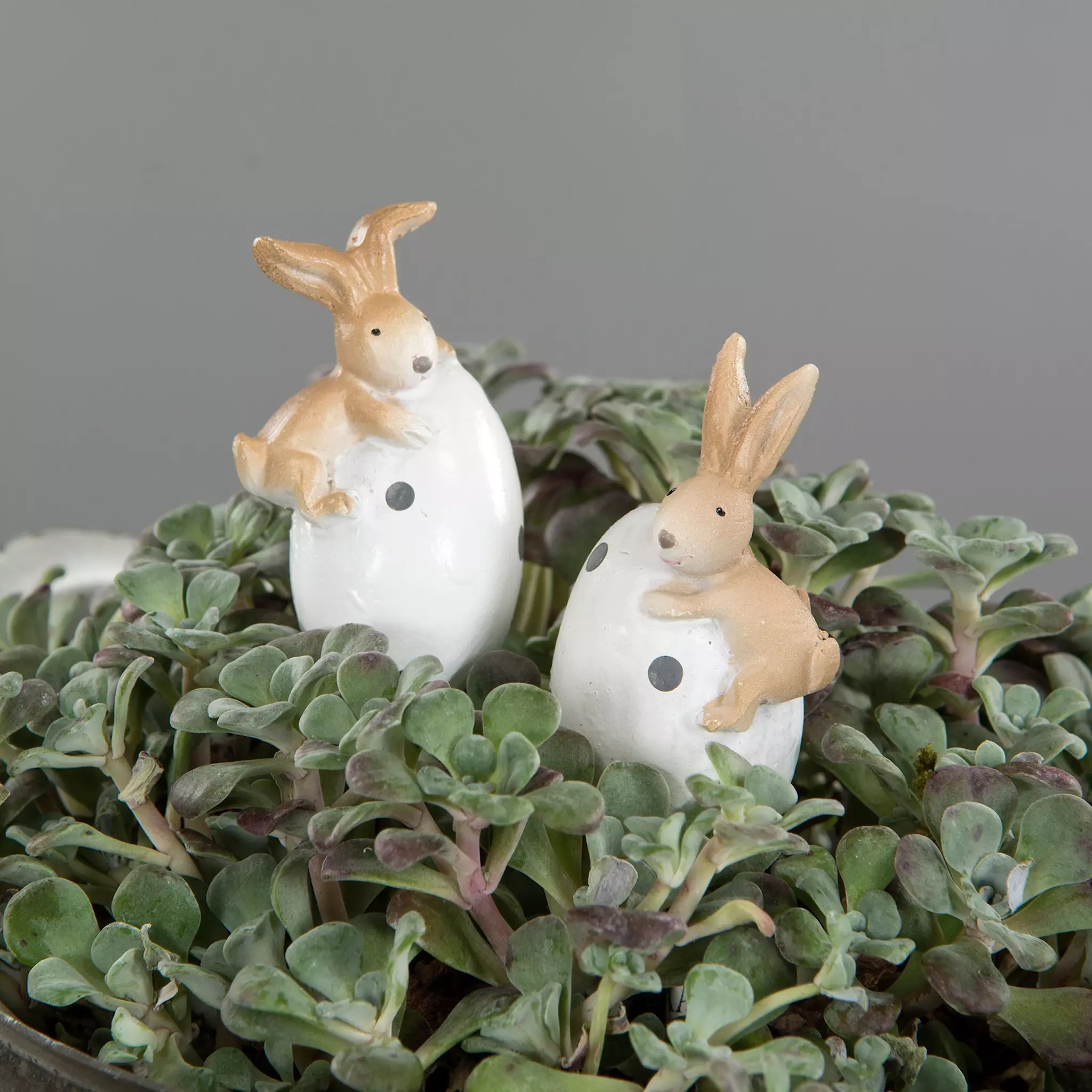 Stick Kanin På Ägg Mix Poly