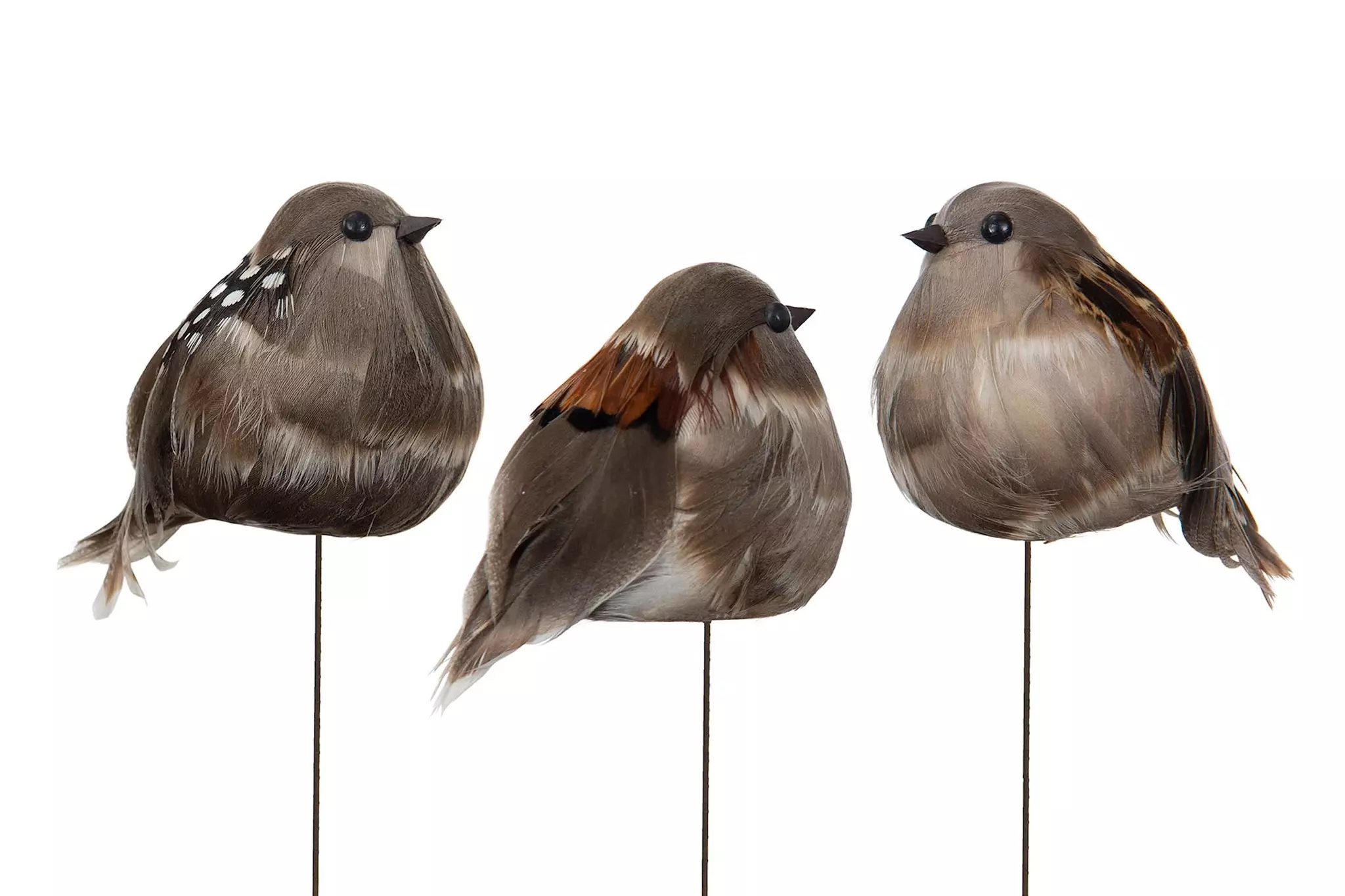 Stick Fågel Knubbig Natur Mix