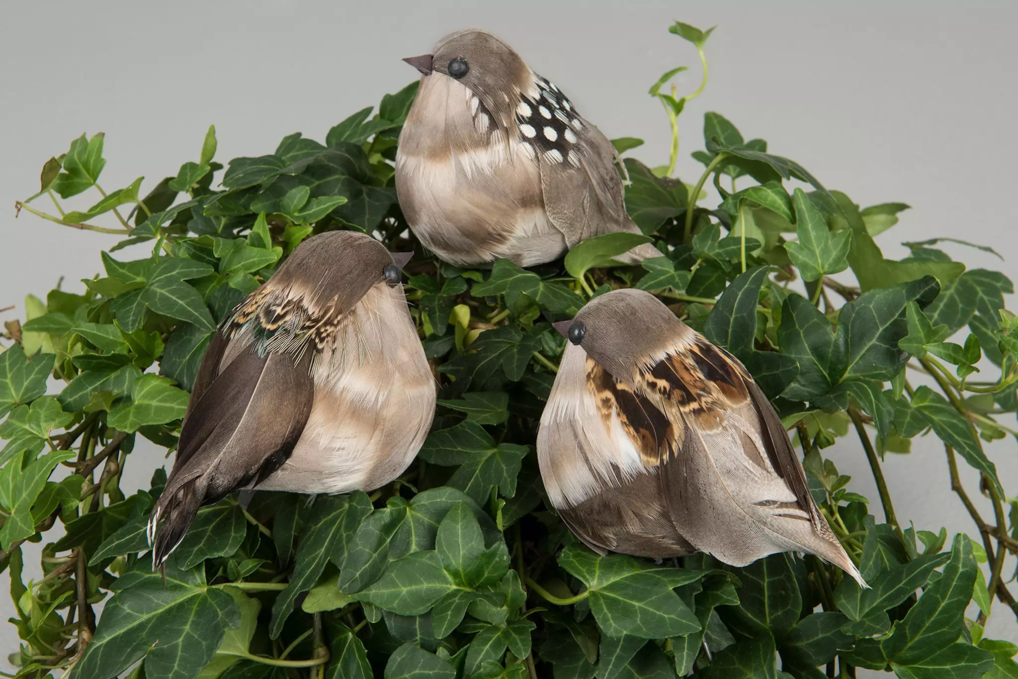 Stick Fågel Knubbig Natur Mix