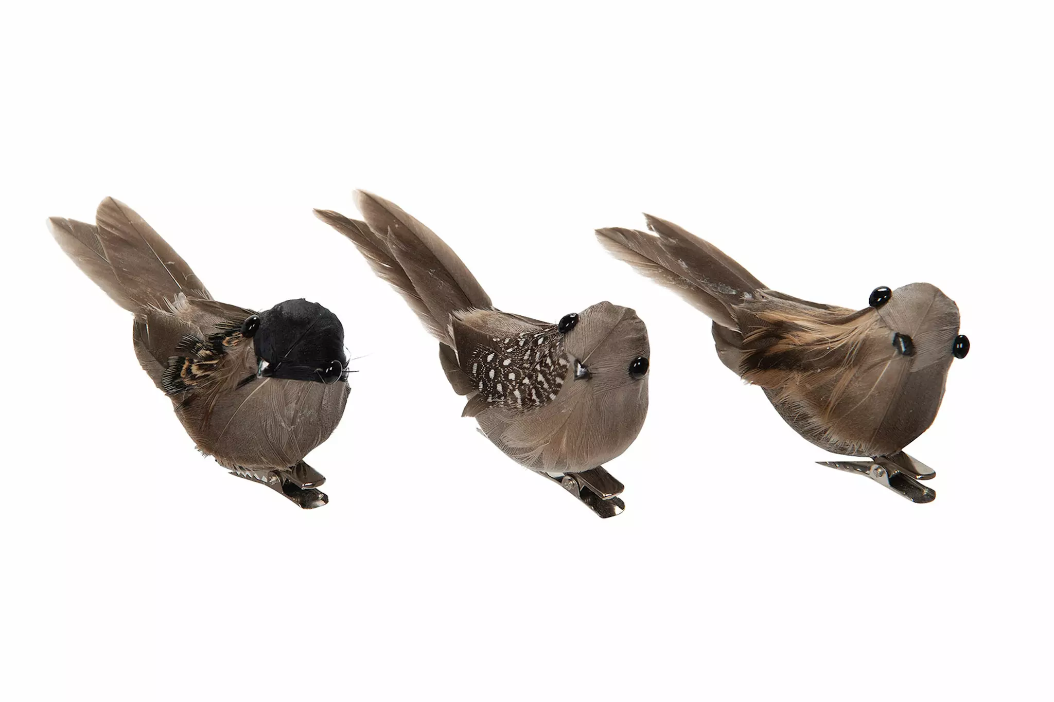 Clip Fågel Fjäder Mix Brun