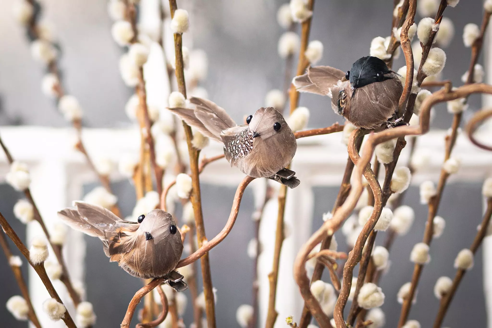 Clip Fågel Fjäder Mix Brun