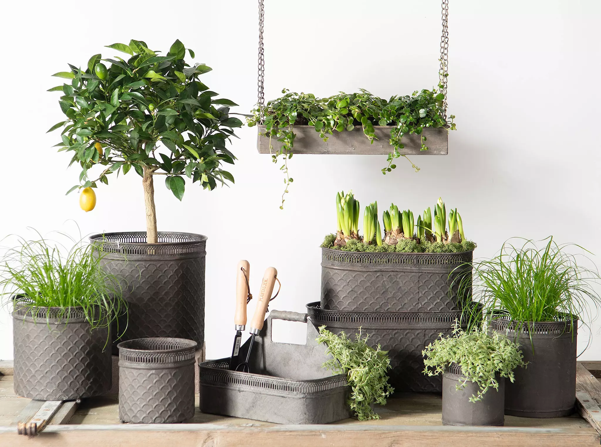 Kruka Utomhus Odla Metall