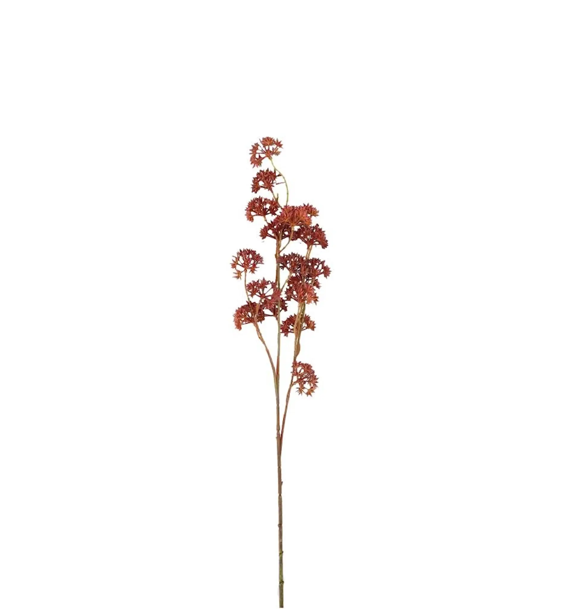 Konstväxt Kärleksört Mauve