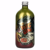Big Gino Gin EXOTIC DREAM 40% Vol. 1l