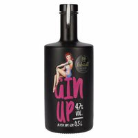 GinUp Alpine Dry Gin 47% Vol. 0,5l