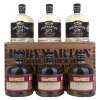 Roby Marton Gin Original Italian Premium Dry 47% Vol. 6x0,7l in Holzkiste