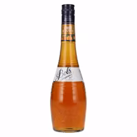 Bols Apricot Brandy Liqueur 24% Vol. 0,7l