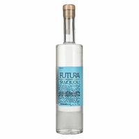 Domenis 1898 FUTURA SAMBUCA liquore 40% Vol. 0,5l
