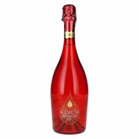 Accademia Rainbow Prosecco Brut Red Edition DOC 11% Vol. 0,75l