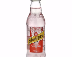 Schweppes Russian Wild Berry 24x0,2l